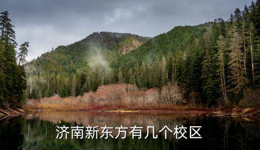 济南新东方有几个校区