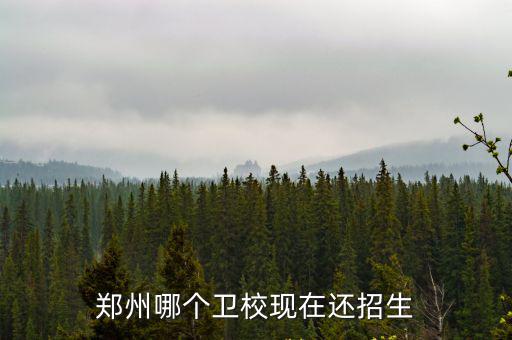 郑州卫生学校招生电话是多少，你们郑州铁路卫校的招生电话是多少