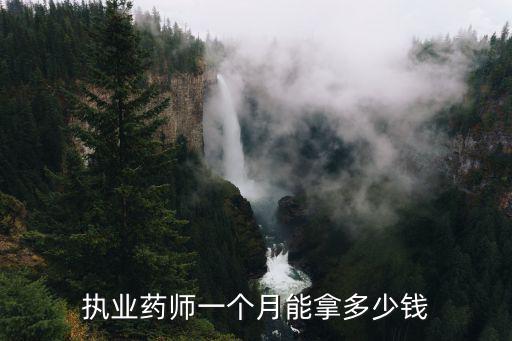 执业药师一个月能拿多少钱