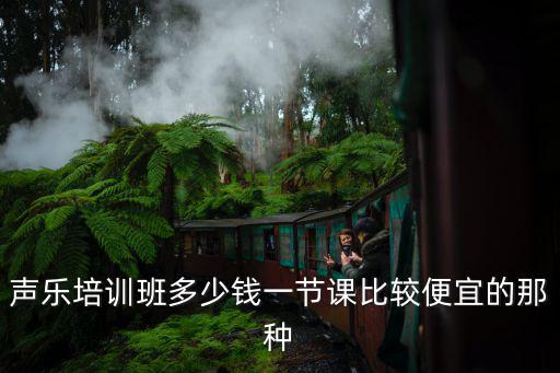 声乐培训班多少钱一节课比较便宜的那种