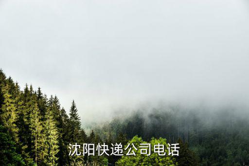 沈阳快递公司电话