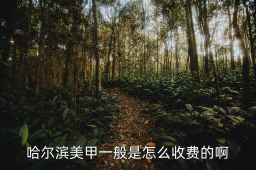 哈尔滨美甲一般是怎么收费的啊