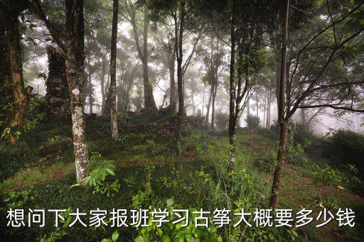 想问下大家报班学习古筝大概要多少钱