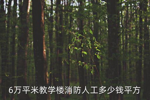 教学机构的消防费用多少钱，6万平米教学楼消防人工多少钱平方