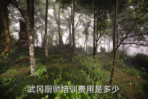 武冈厨师培训费用是多少