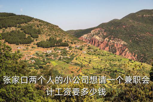 张家口两个人的小公司想请一个兼职会计工资要多少钱