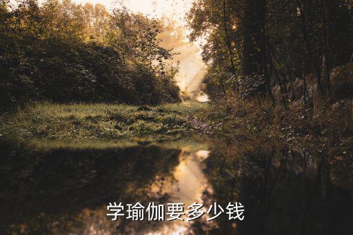 学瑜伽要多少钱