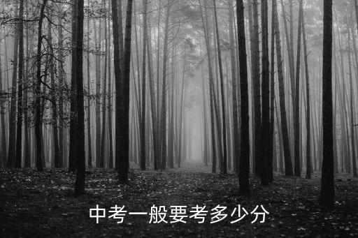 中考一般要考多少分