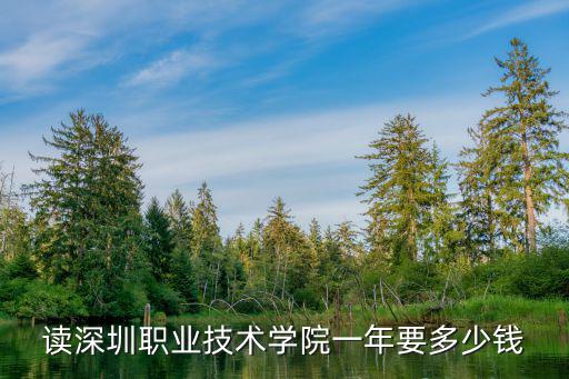 深圳读大专学费多少钱，读深圳职业技术学院一年要多少钱