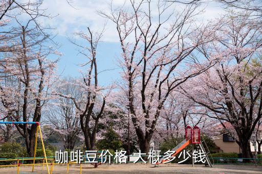 咖啡豆价格 大概多少钱
