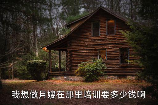 我想做月嫂在那里培训要多少钱啊