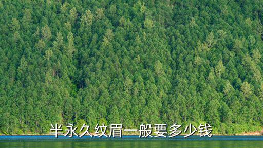 半永久纹眉一般要多少钱