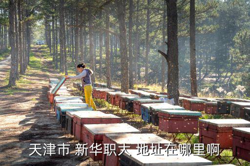 天津市 新华职大 地址在哪里啊
