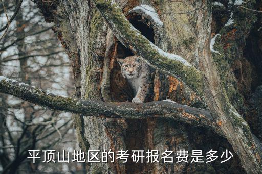 平顶山地区的考研报名费是多少