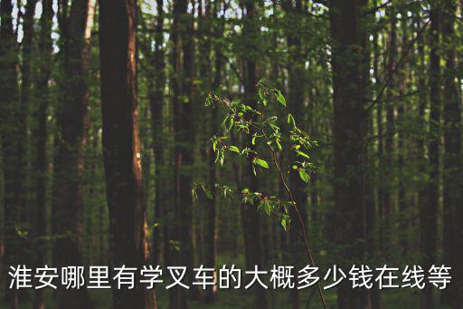 淮安学叉车要多少钱，淮安中大叉车学费是多少