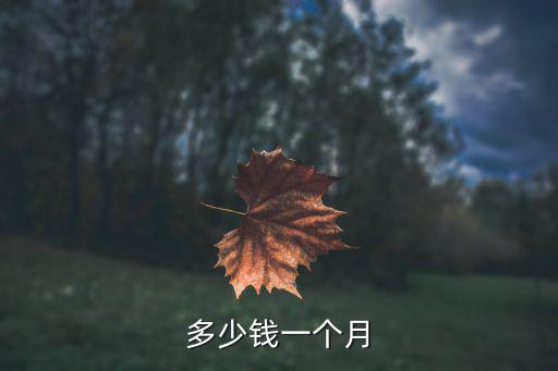 去瑜伽馆多少钱一个月多少钱一个月，神情多少钱一个月