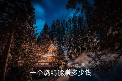 一个烧鸭能赚多少钱