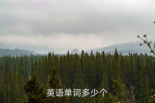 英语单词多少个
