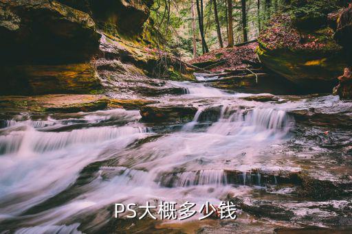 PS大概多少钱
