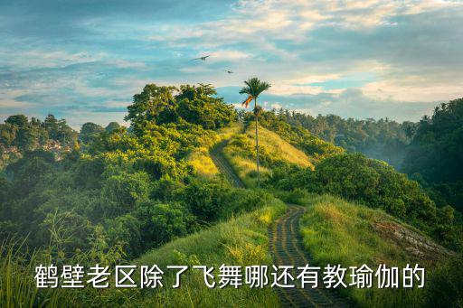 鹤壁老区除了飞舞哪还有教瑜伽的