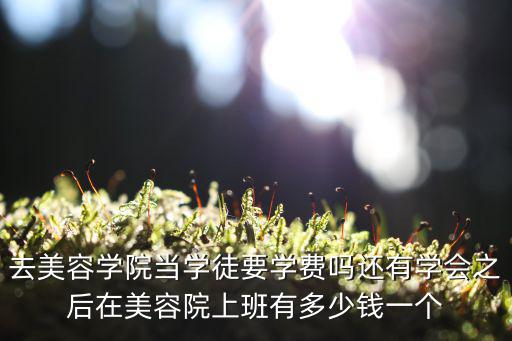 学做美容要多少钱一个月，去学美容一个月的时间 大概需要多少钱啊