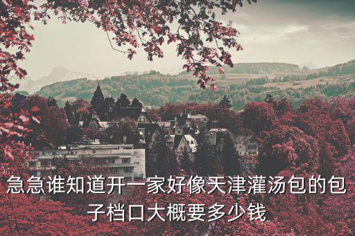 急急谁知道开一家好像天津灌汤包的包子档口大概要多少钱