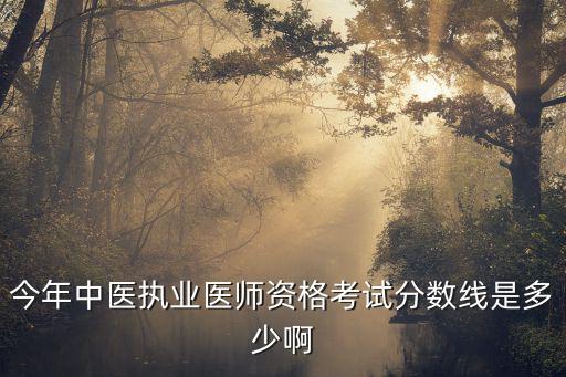 今年中医执业医师资格考试分数线是多少啊