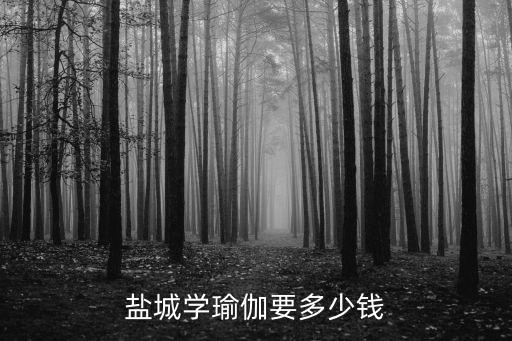 盐城学瑜伽要多少钱