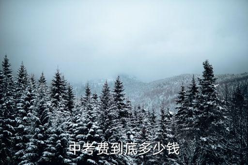 中考费到底多少钱