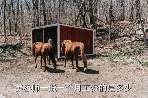 美容师一般一个月工资的是多少