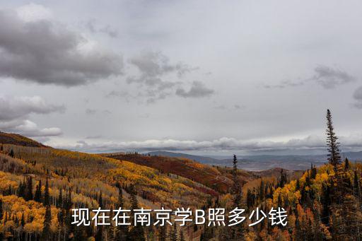 现在在南京学B照多少钱