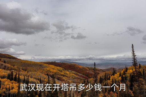 武汉现在开塔吊多少钱一个月
