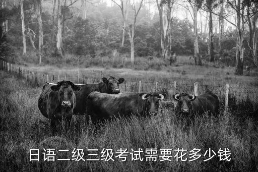 日语二级三级考试需要花多少钱