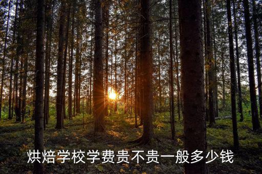 烘焙学校一学期多少钱，深圳烘焙学校学费多少