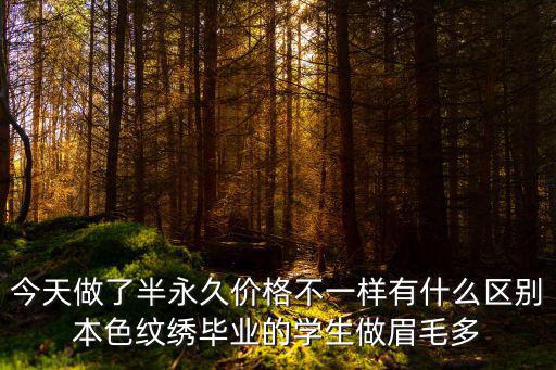 今天做了半永久价格不一样有什么区别本色纹绣毕业的学生做眉毛多