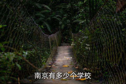 南京有多少个学校