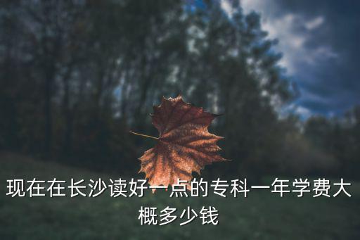 现在在长沙读好一点的专科一年学费大概多少钱