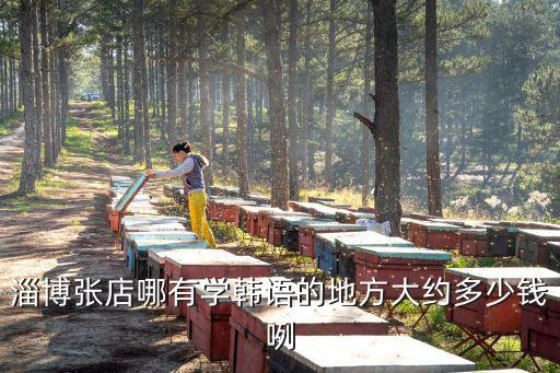 淄博张店哪有学韩语的地方大约多少钱咧