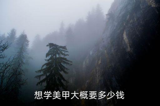 想学美甲大概要多少钱