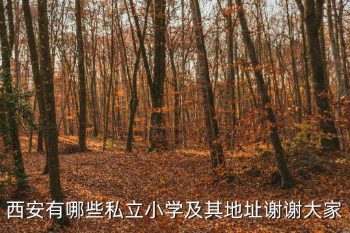 西安有哪些私立小学及其地址谢谢大家