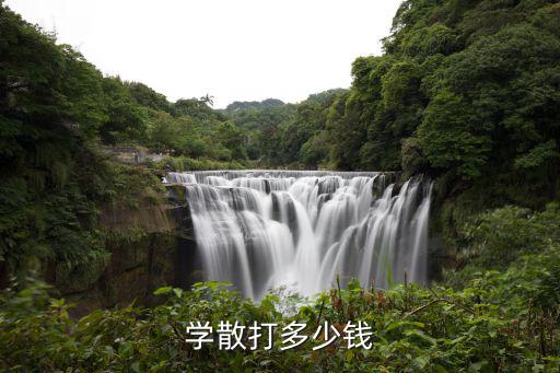 学散打多少钱
