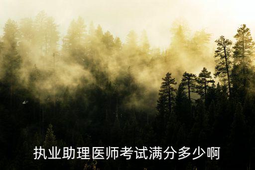 执业助理医师考试满分多少啊