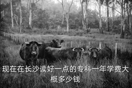 专科一学期多少钱，现在在长沙读好一点的专科一年学费大概多少钱