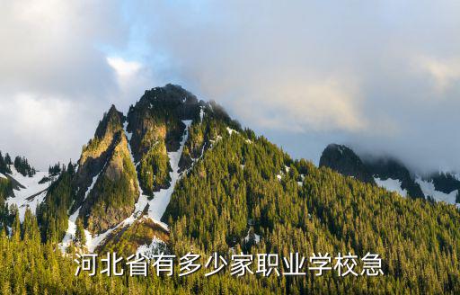 河北省有多少家职业学校急