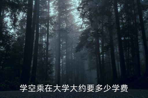 学空乘在大学大约要多少学费