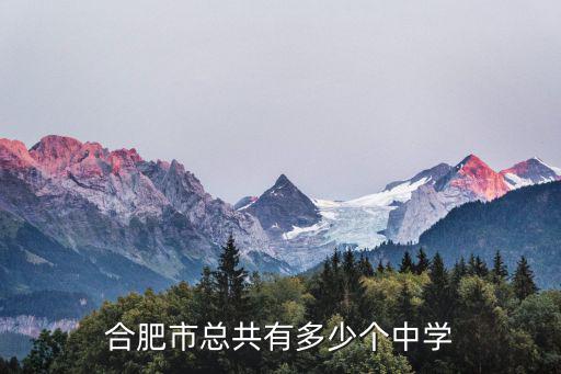 合肥市总共有多少个中学
