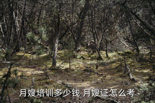 月嫂培训多少钱 月嫂证怎么考