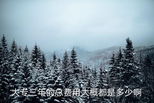 大专三年的总费用大概都是多少啊