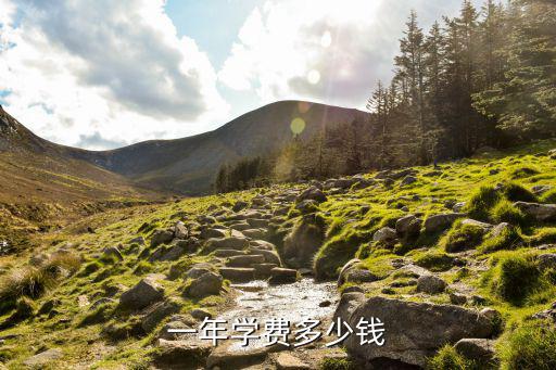一年学费多少钱