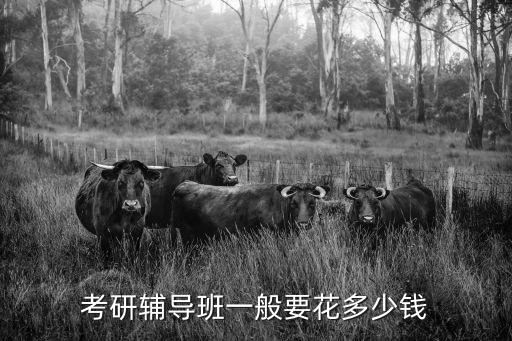 考研辅导班一般要花多少钱